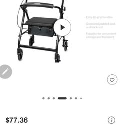 Walking Companion Toy