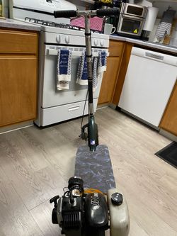 Go-Ped BigFoot