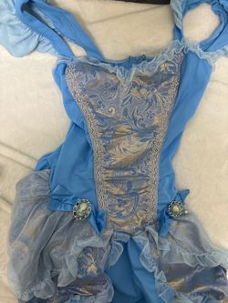 Cinderella costume