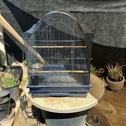 Bird Cage