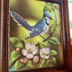 Framed Blue Jay Lithograph 