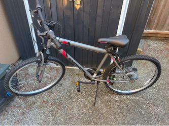 Road master 24” Bile