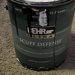 BEHR ultra paint