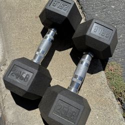 25LB Dumbbell set