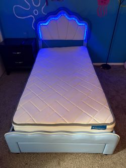Twin Bed Frame and Mattress