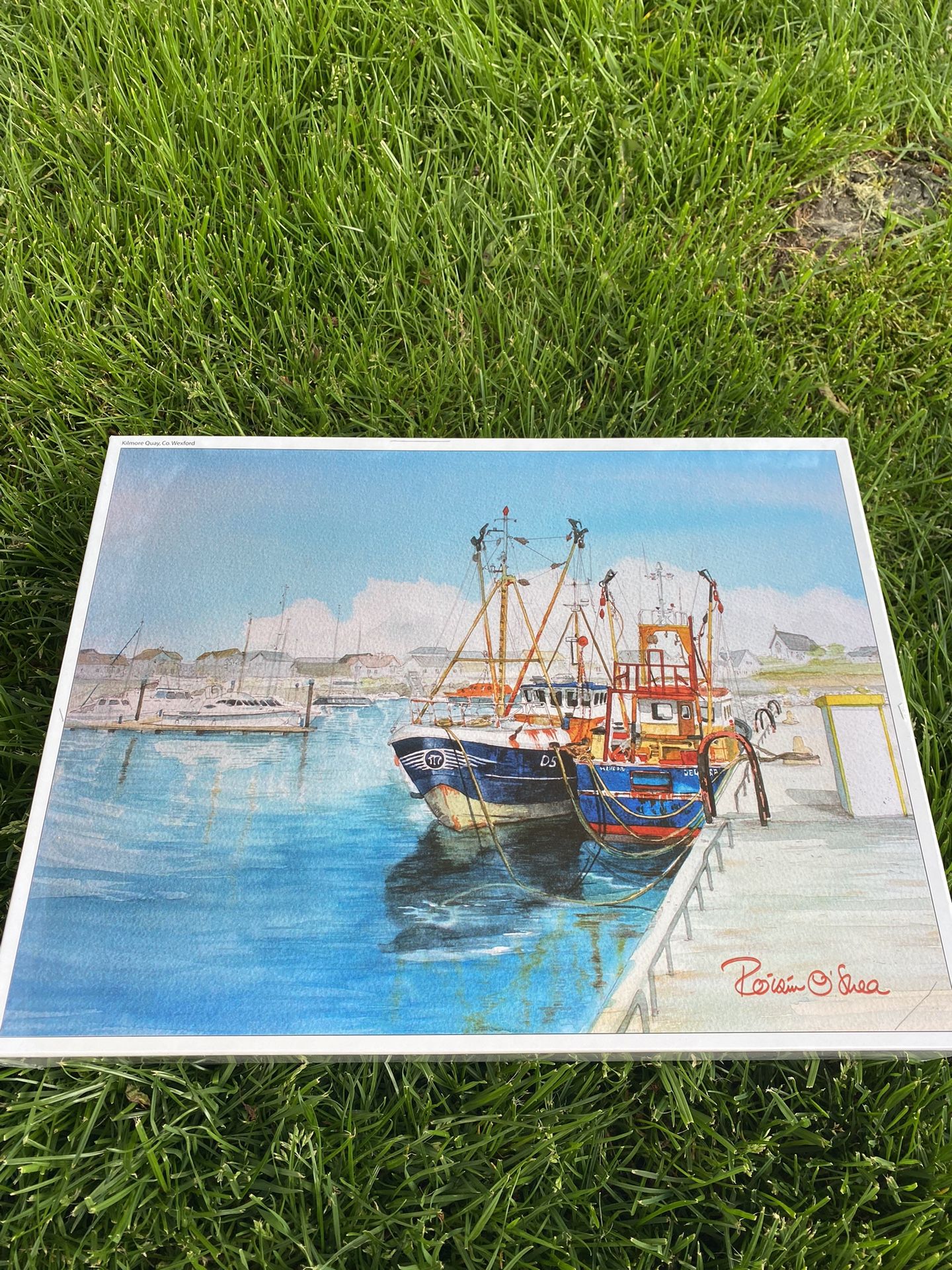 1000 Jigsaw Puzzle