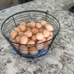 Chicken Eggs From Home
