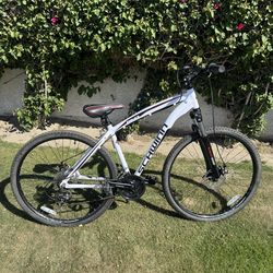 Schwinn Mountain Bike