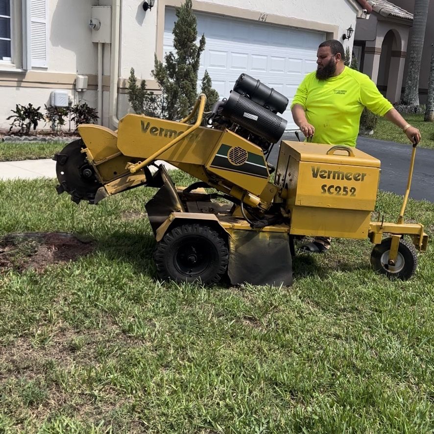 Stump Grinder (5hrs Only)