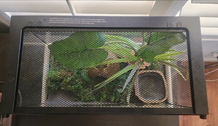 Terrarium