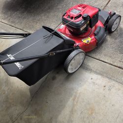  Lawnmower   /Pressure Washer 