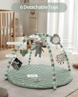 Blissful Diary Baby Playmat, Playmat Activity Mat with 6 Detachable Toys for Stage Sensory and Motor Skill Development, Easy to Install and Clean, Ess