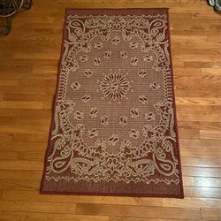 In Door Out Door Rug 56” X36”