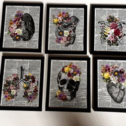 Floral Anatomy Print,Picture,Art on dictionary page