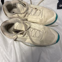 nike air Jordans 12 size 13 just need a little cleaning 