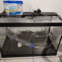 20gal Fish Tank