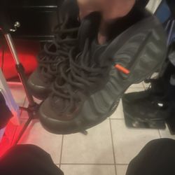 Air Foamposite Pro 'Sequoia'