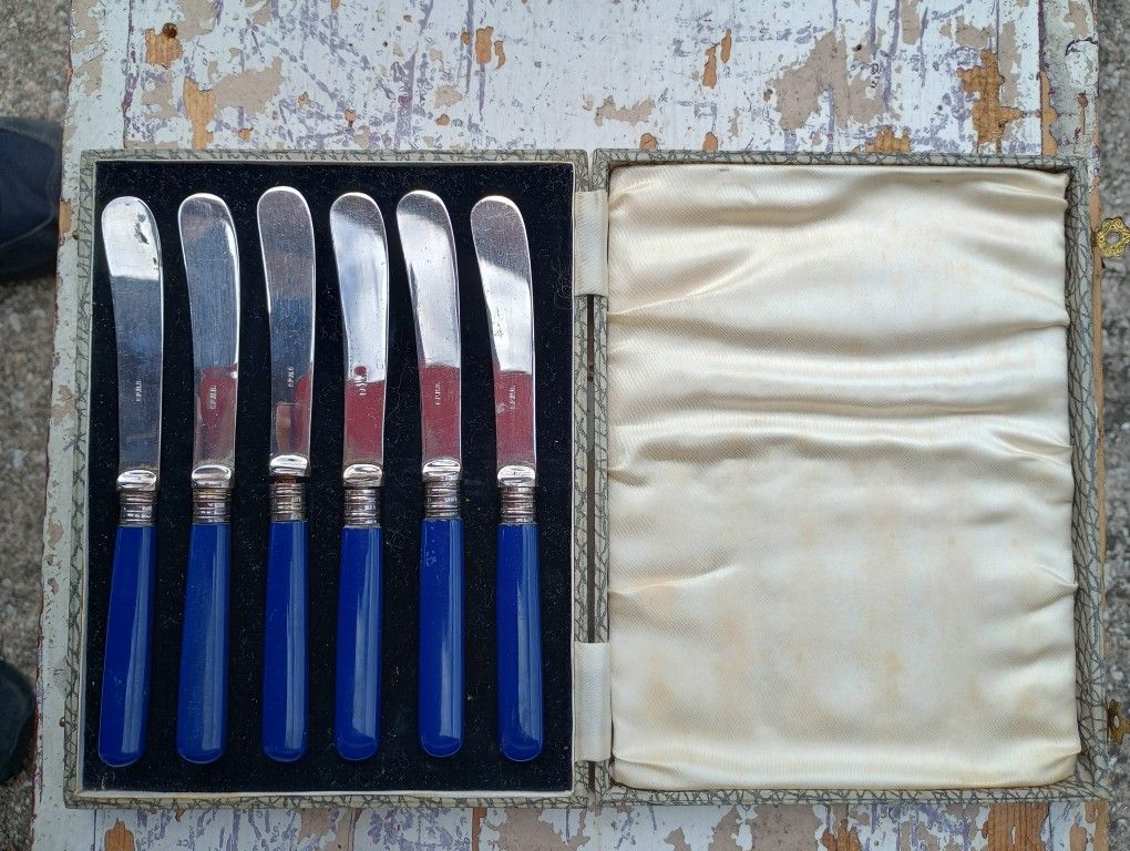 Vintage Blue Bakelite Butter Knives Set of 6 in Original Presentation Box *20.00 Firm* EPSN