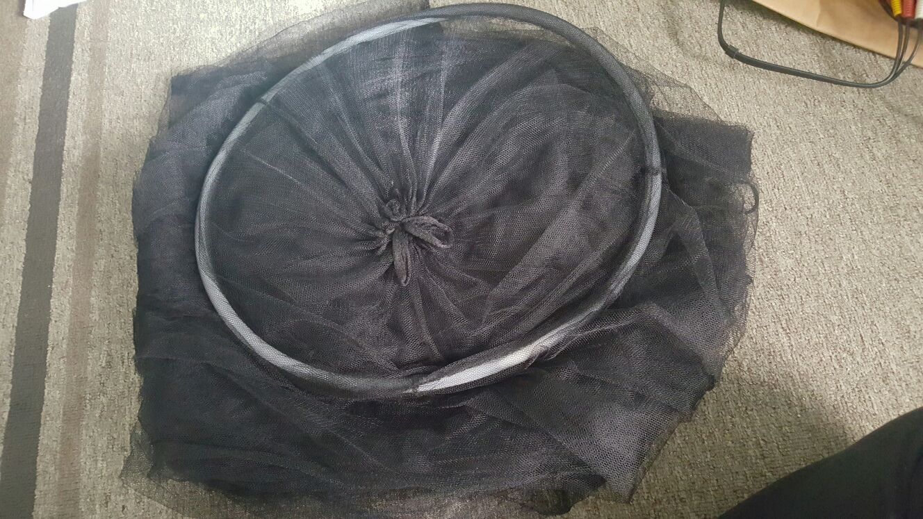 Bed Canopy