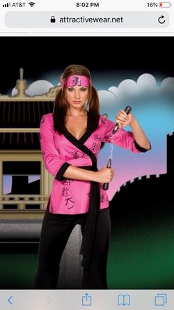 Halloween Costume: Pink Ninja 1X