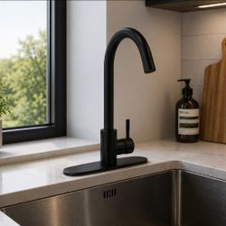 High Arc Kitchen Faucet