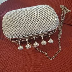 Silver Purse