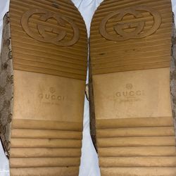 Gucci Shoes 