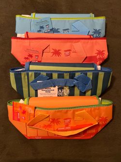 Trader Joe’s MINI insulated bags