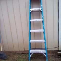 6' Werner Fiberglass Step Ladder - Type 1 • Lbs. 250 Capacity 