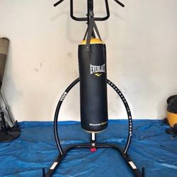 Punching Bag
