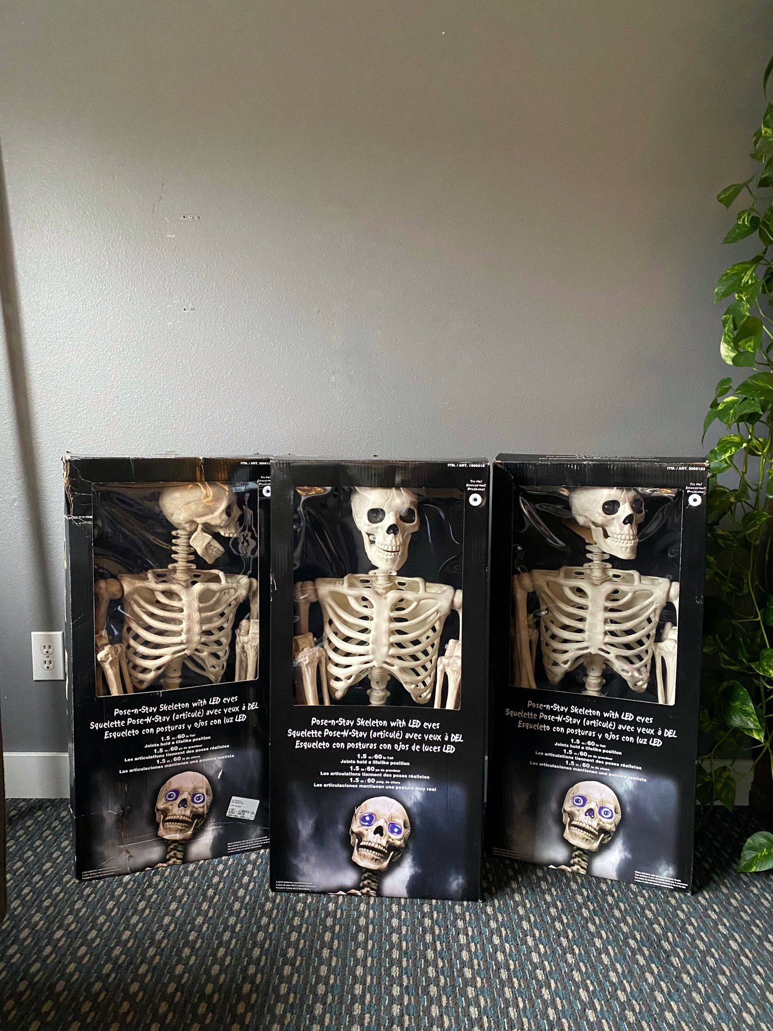 3 Pose And Stay 5ft Tall Skeletons w/ LED Eyes -Pending PU