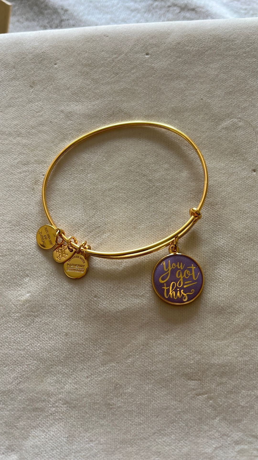Alex And Ani Charm Bangle