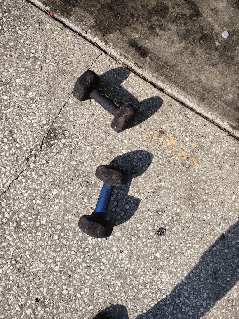 Two 15lbs Dumbbells