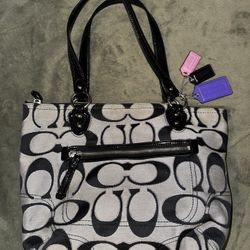 Vintage Coach Poppy Metallic Signature Tote Bag 