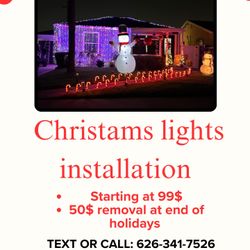 Christmas Lights Installation & Removal