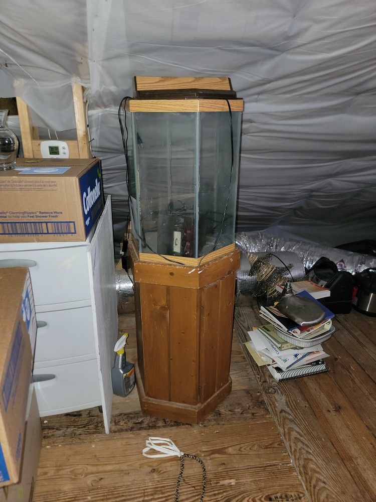 Fish Tank