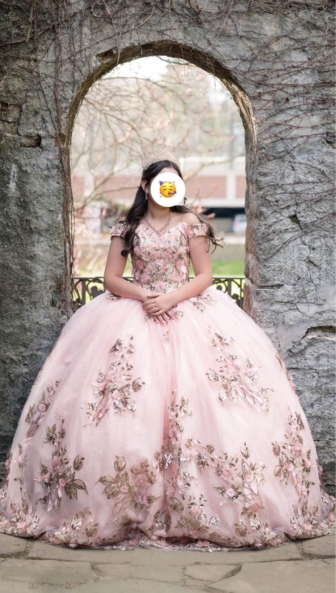 Quinceanera Ball gown