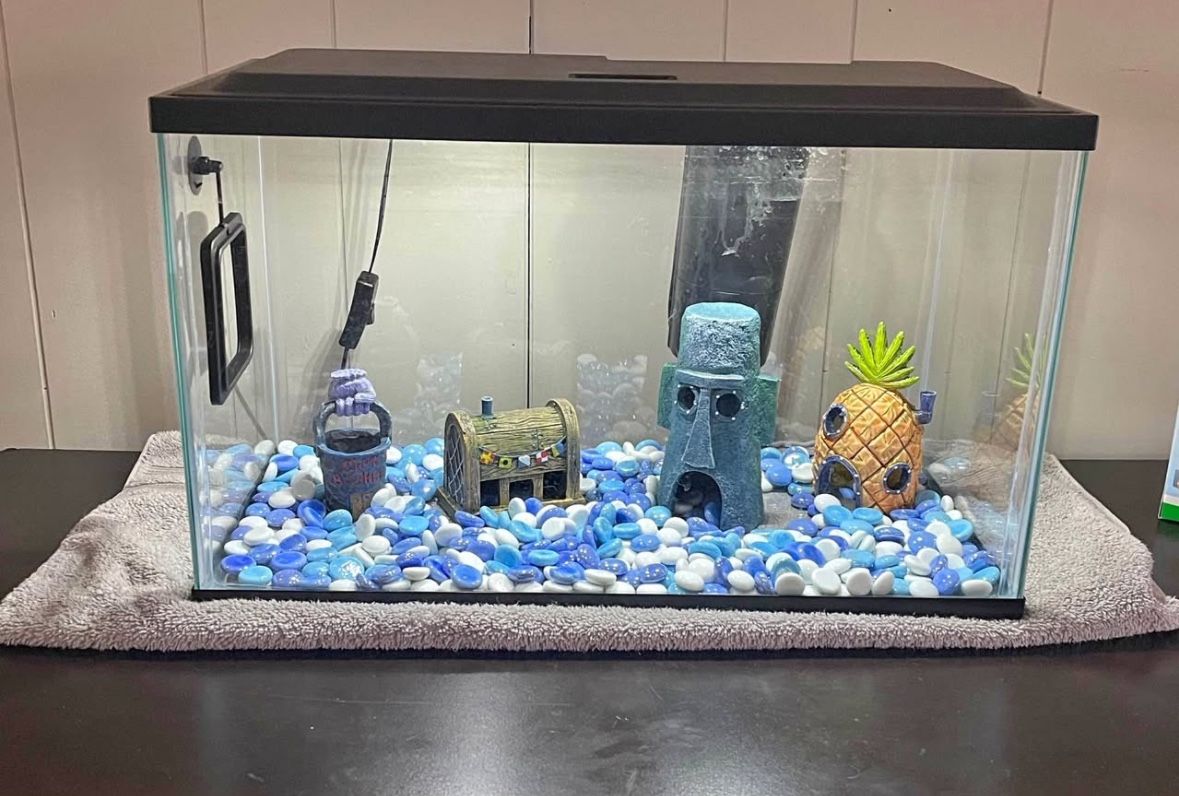 5 Gallon Aquarium