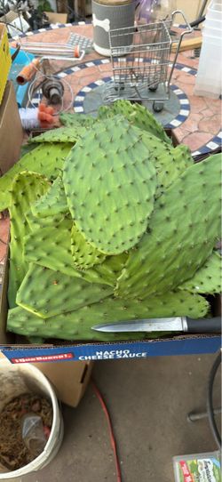 Nopales