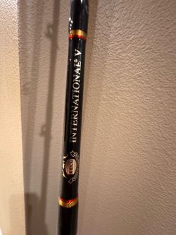 Penn International 6ft Rod