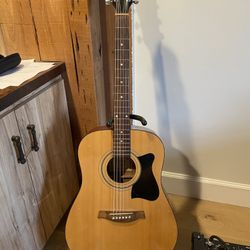 Ibanez Acoustic Dreadnaught
