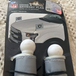 Raider Hood And Trunk Game day Flag