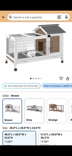Bunny house