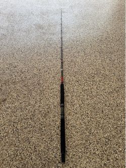 One Cousins custom rod no reel