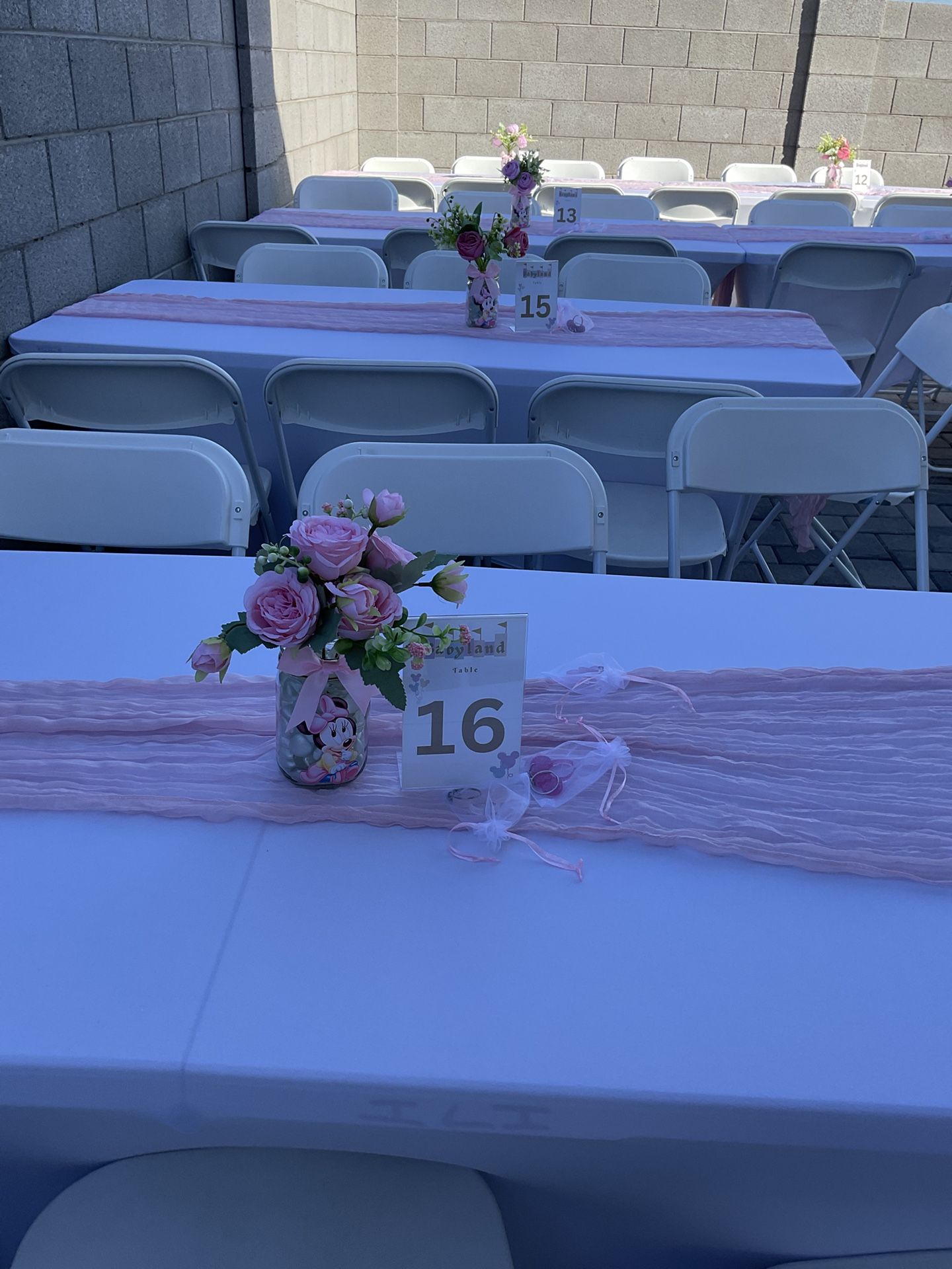 Minni Mouse Center Pieces