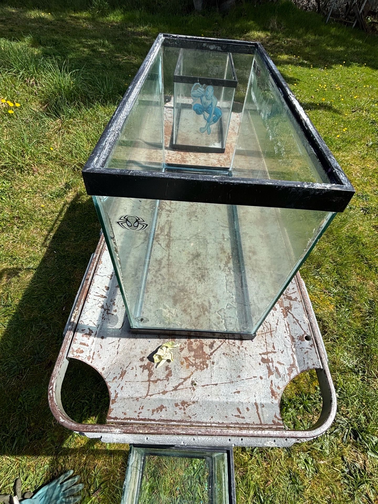 10gallon And 45 Gallon Aquariums