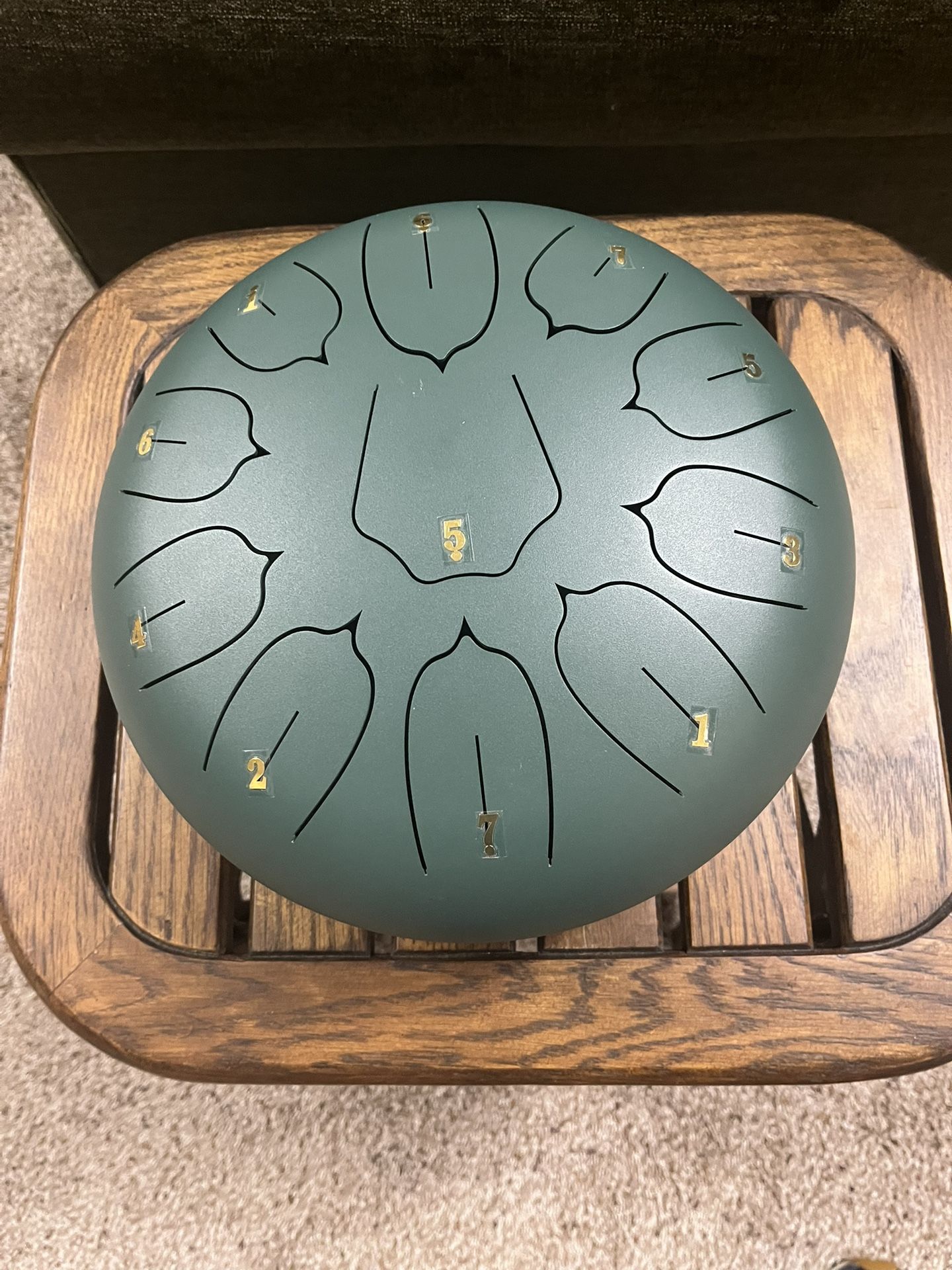 Steel tongue drum, a percussion instrument known for its soothing, melodic tones.