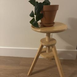Plant Stand/Stool