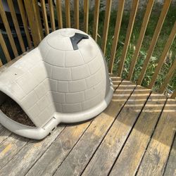 Dog Igloo