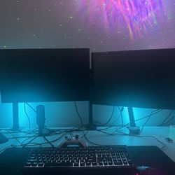 2 ACER Monitors for Gaming/Work